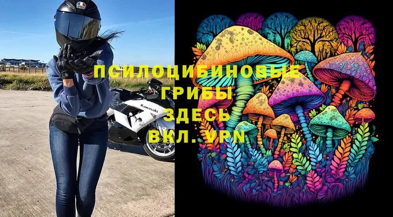 Галлюциногенные грибы Cubensis  ссылка на мегу ссылки  Дмитров 